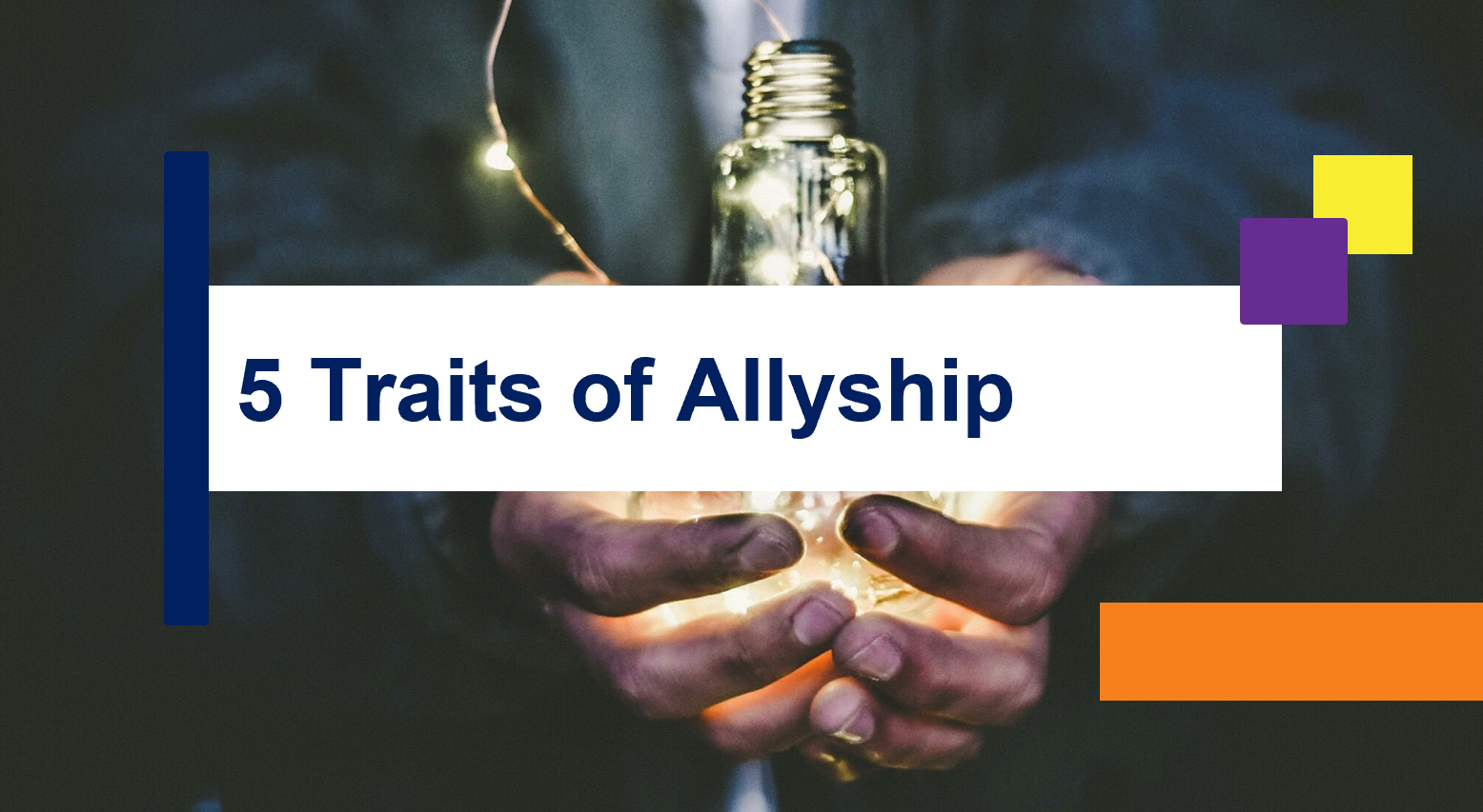Insights Training Session Image showing title, "5 Traits of Allyship" 