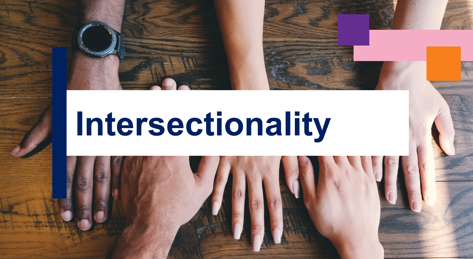 Insights Training Session Image showing title, "Intersectionality" 