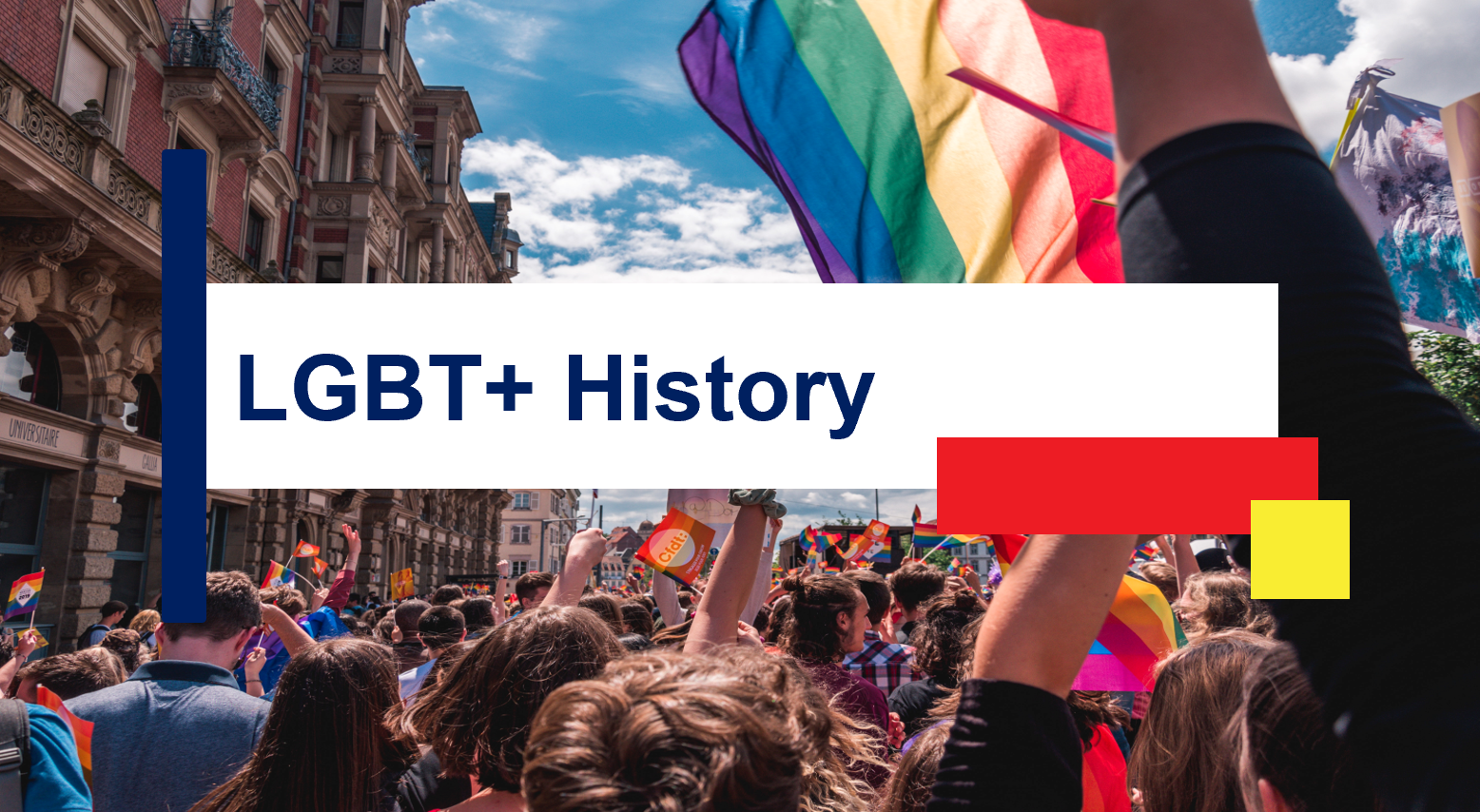 Insights Training Session Image showing title, "LGBT+ History" 