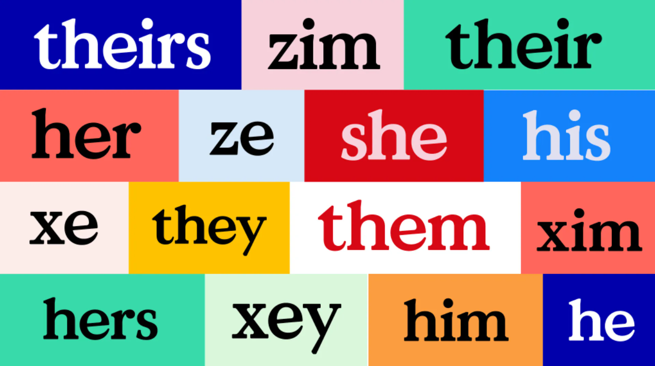 Graphic showing various pronouns / neo-pronouns