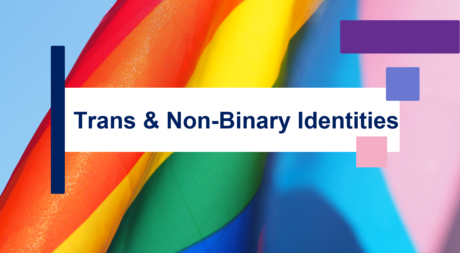Insights Training Session Image showing title, "Trans & Non-Binary Identities""