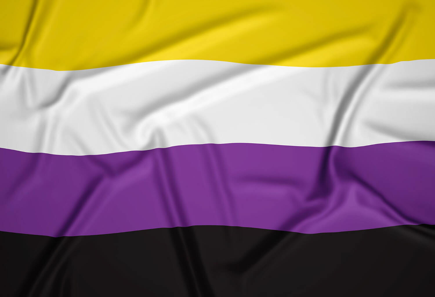 non binary flag